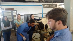 Semana de Veterinária Unoeste3