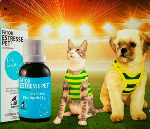 Estresse Pet