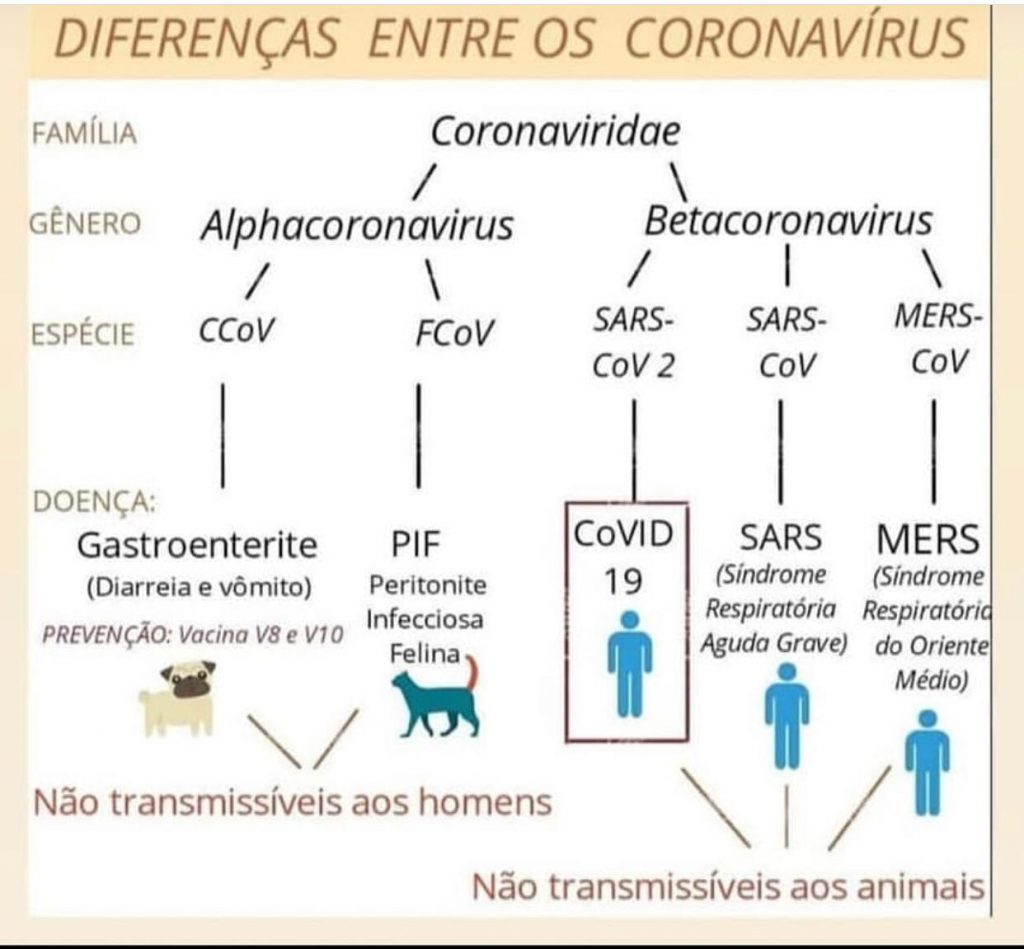 Diferenças entre coronavírus 