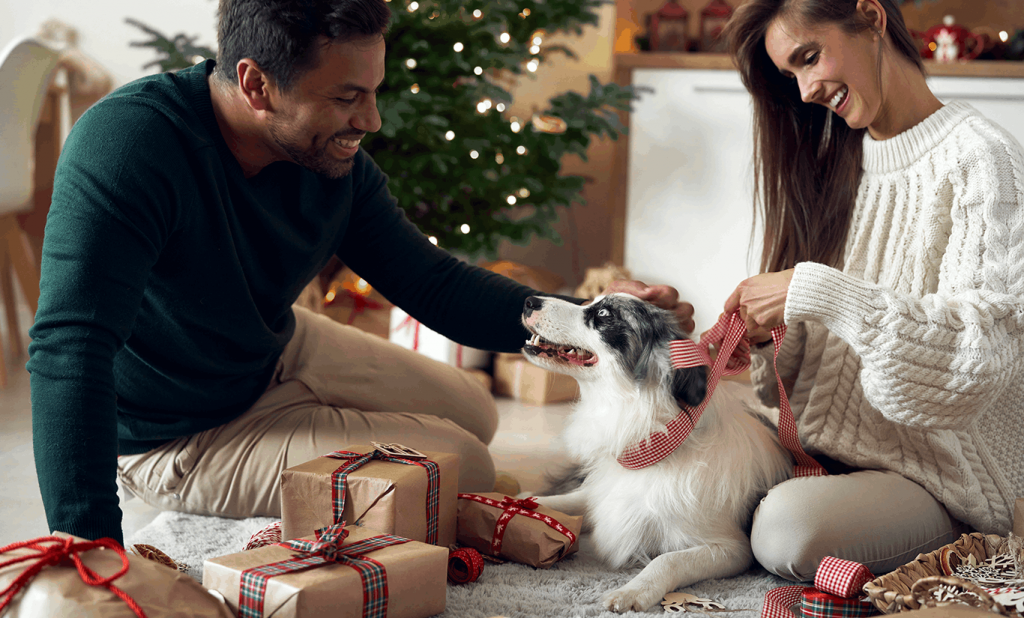 Alimentos para pets -Cuidados na ceia