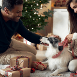 Alimentos para pets -Cuidados na ceia