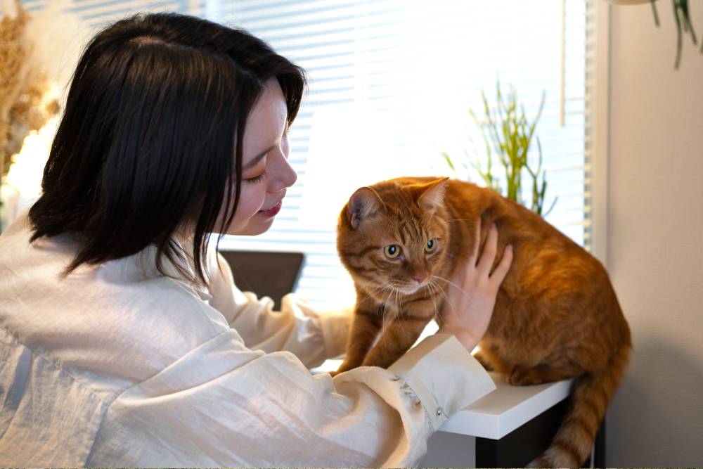 Entenda a diferença entre tratamento homeopático e convencional para pets